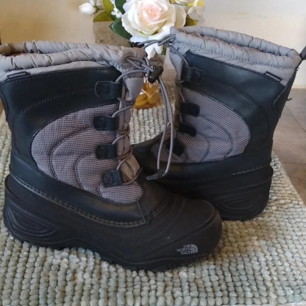 THE NORTH FASE - Picture 6 of 8